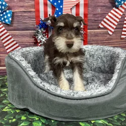 car_main_img_/media/ap_media/pets/WBDELRQJIOUT122656.webp.250x250_q85.webp