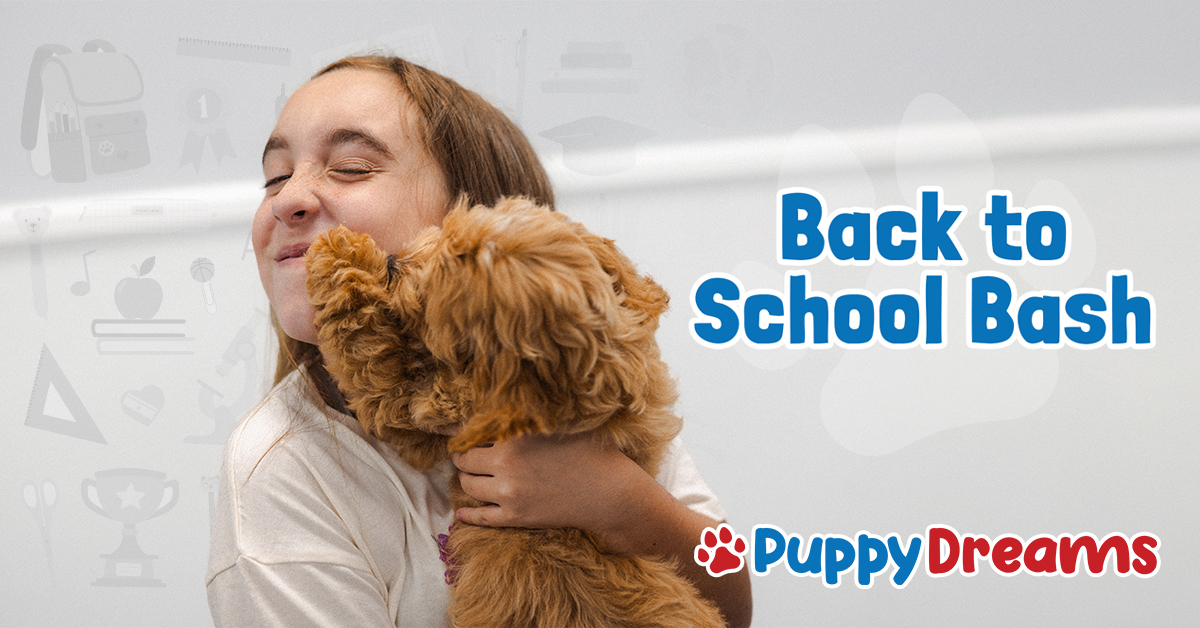 Back to School Bash